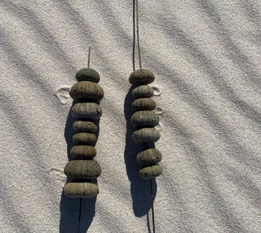 a pair of long shells