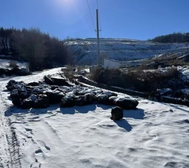 maple burl wood stabilized wood blocks for wood handles