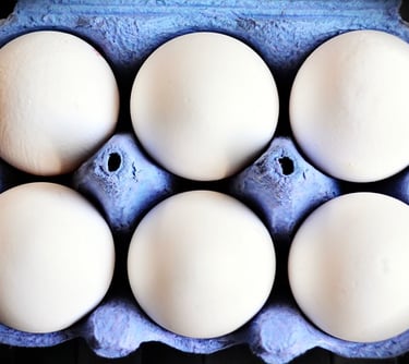 Planta de Fábrica de Clara de Ovo em Pó - Informe-se