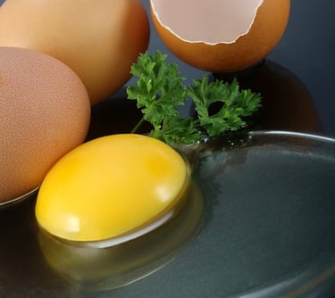 Como Montar Fábrica de Gema Líquida - Informações extras