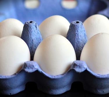 Informações complementares sobre Como Montar Fábrica de Clara Líquida