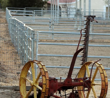 Fale conosco para planta de galpão para bovinos de corte