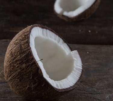 Confira Informações sobre sobre Planta para Fábrica de Vinagre de Coco