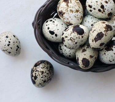 Planta de Galpão para Ovos de Codorna - Precisa de ajuda?