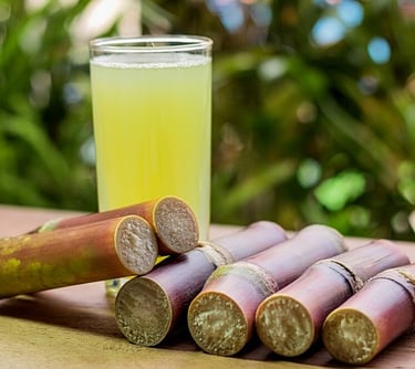 Fale conosco sobre Como Montar uma Fábrica de Caldo de Cana