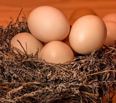 Saiba mais sobre Projeto de Granja Para Incubação de Ovos