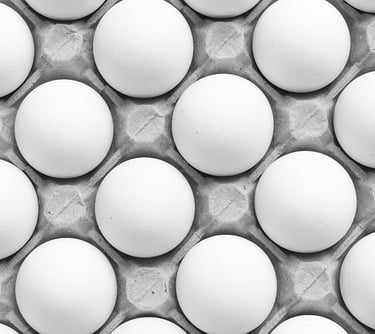 Perguntas a respeito de Layout de Granja para Galinhas Poedeiras