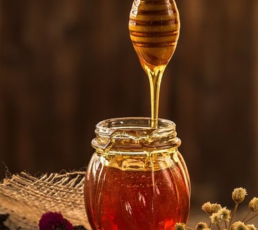 Desenho de Entreposto de Mel - Saiba mais