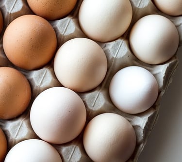 Explore mais - Unidade de Beneficiamento de Ovos e Derivados