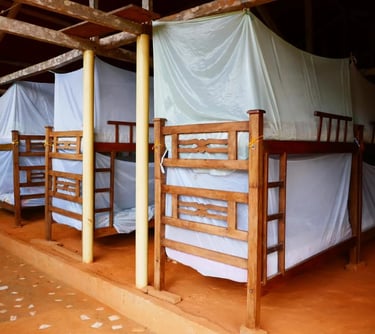 Rustic wooden bunk beds with white mosquito nets in a tropical hostel dorm room.