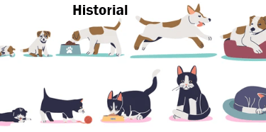 Historial de mi Amigo