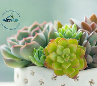 a potted planter with a plant in it
