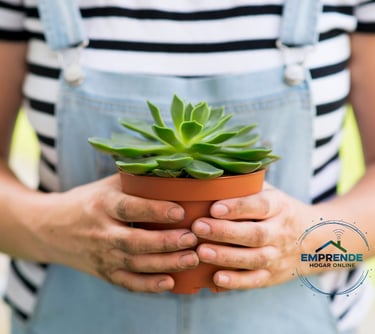 a person holding a potted plant in a potted pot