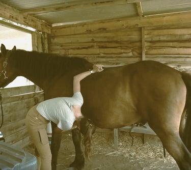 Jeune fille brossant son cheval lors d'une séance d'équithérapie