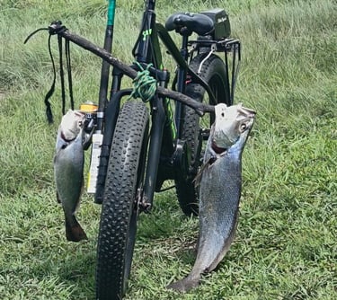 Electric Bike Mtentu fish carrier