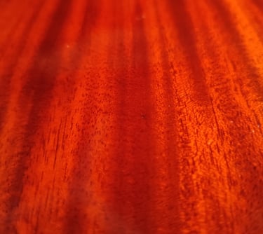 High quality guitars Sri Lanka