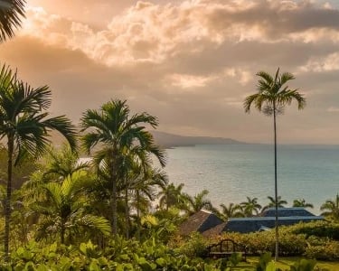 a view of a tropical coastline in Jamaica with palm trees, turquoise waters, and mountains