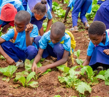 kids picking vegetables in Malawi