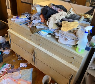 before extreme bedroom organization