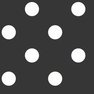ZONE IV Fine Sand (0.125- 0.25 mm)