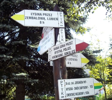 Pobliskie trasy turystyczne