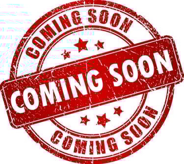 secure mobile, secure cellphones, cybersecurity, SIM swap protection, executive, founder, owners