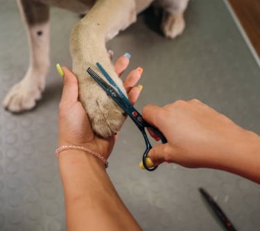 Do not forget to trim the paws