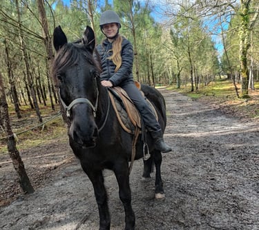 stagiaire equitation