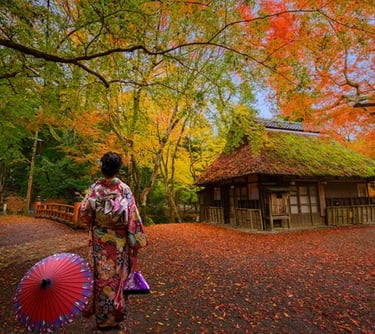 développer votre créativité et embellissez votre intérieur et votre vie, améliorer l'image de soi