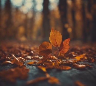 feuilles d'automone