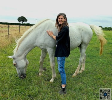 couple cavalier cheval retraite pre