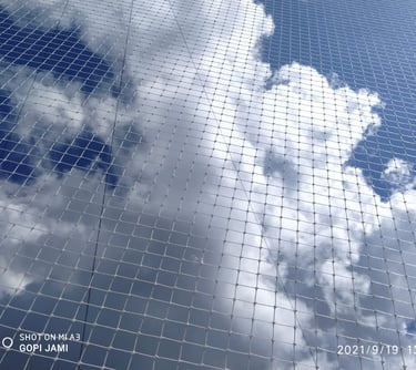 Pigeon Netting services