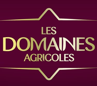 transport frigorifique des agrumes et fruit