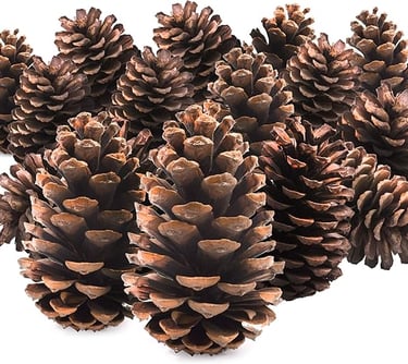 15PC Pine Cones - Tree Decorations - Christmas Wreath Ga bunch of pine cones with a white background