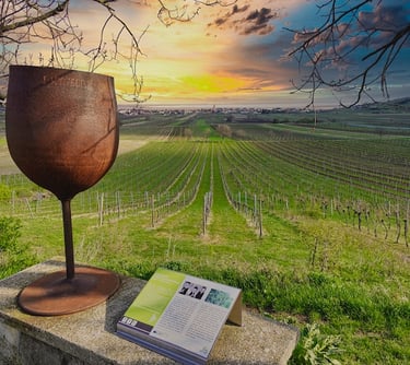 Foto Weinlehrpfad Jois