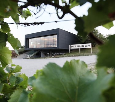 Weingut Leo Hillinger