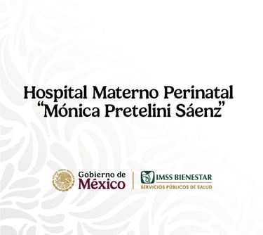 Egresada del Hospital Materno Perinatal Mónica Pretelini