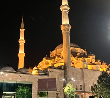 Fatih Mosque Türkiye Islamic heritage site