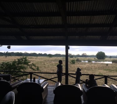 south africa safari