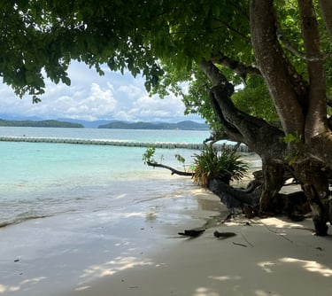 Langkawi beachfront, Malaysia, tropical island, sandy beach, clear waters