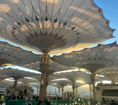Medina mosque umbrellas, Islamic site Saudi Arabia