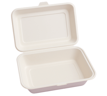 Eco-friendly disposable 9x6 inch clamshell box for food packaging.