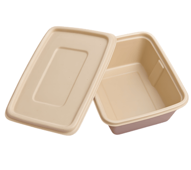Biodegradable 500ml takeaway bagasse container with secure lid.