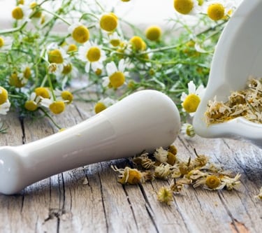 Bio-Kamillenblüten aus Ägypten – schonend getrocknet für Tees und Hautpflege