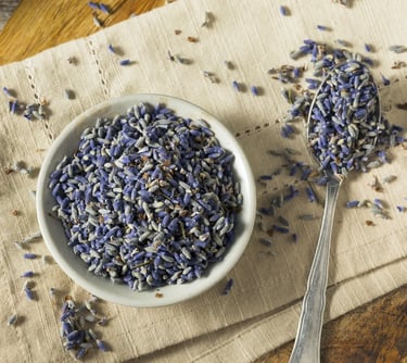 Bio-Lavendelblüten aus Ägypten – beruhigend und duftend für viele Anwendungen