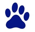 Alarma hogar con mascotas