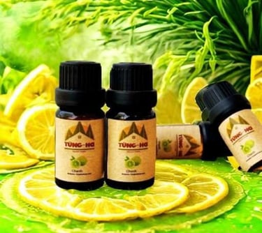 Tinh dầu Chanh xanh Tùng Hạ
