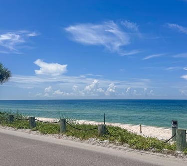 Florida's beaches - Margarita Rosa Budina