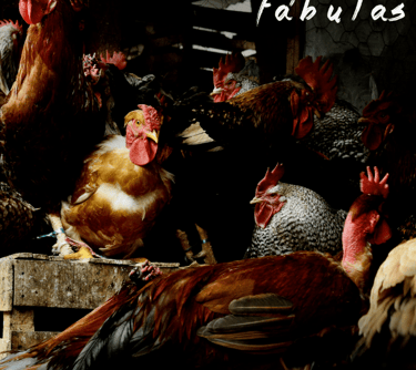 disco Fábulas de Ricardo Salvador, música, Compositor