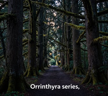 A cinematic landscape photograph of a dark, mysterious forest in North America at dusk. Ancient trees are draped in moss, and a faint trail leads into the distance, capturing the atmospheric and magical essence of the Orrinthyra series.